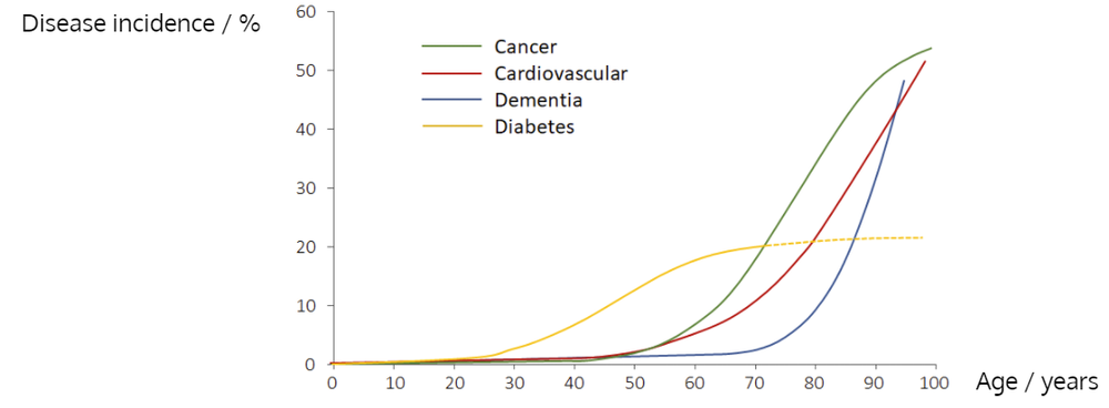 Line graph showing the incidence of cancer, cardiovascular disease, dementia and diabetes by age. Cancer and cardiovascular disease rise sharply after age 60, dementia rises sharply after age 80, and diabetes rises gradually from middle age before levelling off.