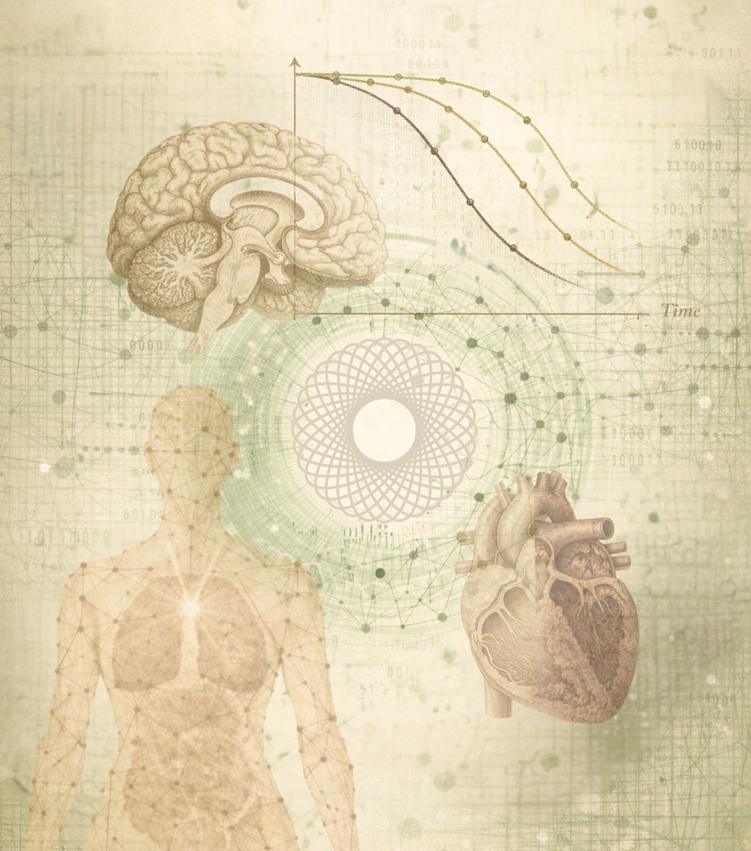 Illustration connecting brain, heart and whole-body biology with data networks and changes over time.