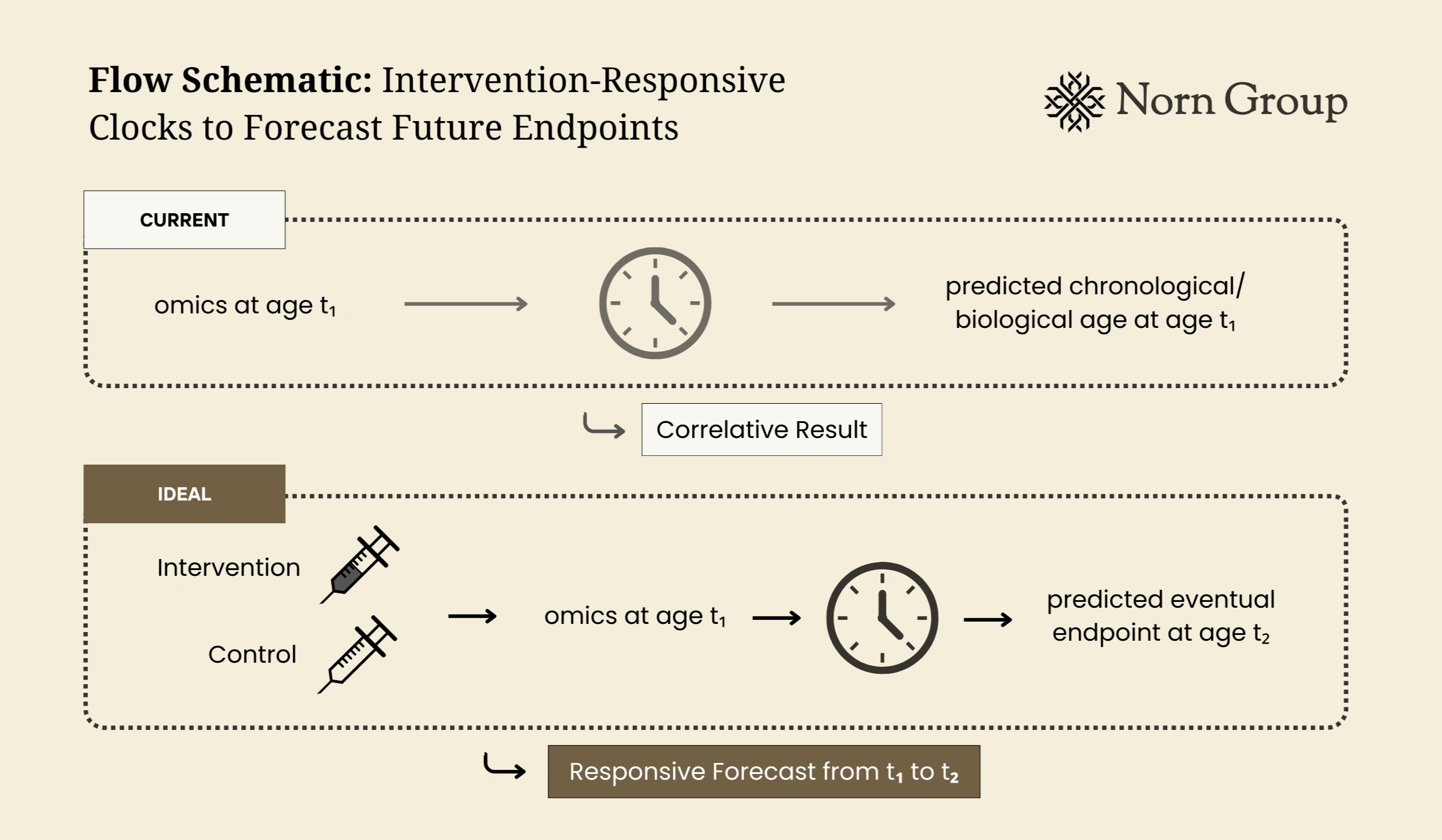Flow schematic titled 'Intervention-Responsive Clocks to Forecast Future Endpoints' showing two sections. The current section illustrates omics at age t1 leading to predicted chronological/biological age. The ideal section illustrates intervention and control groups, with omics at age t1 leading to an anticipated future endpoint at age t2, highlighting a responsive forecast from t1 to t2.